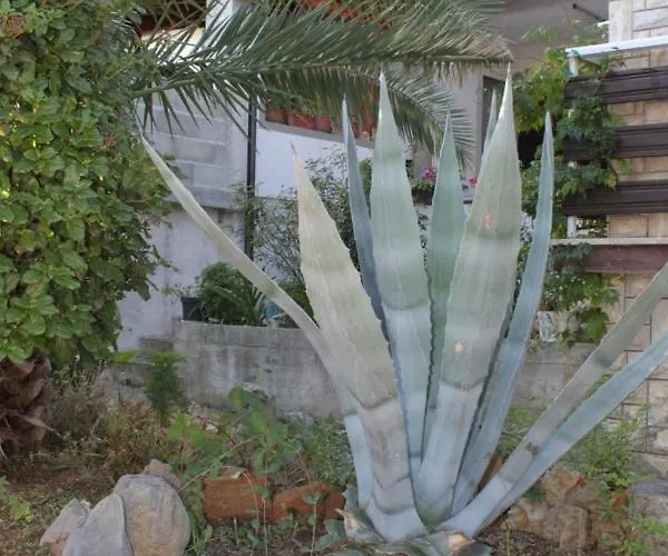 By The Sea Tkon, Pasman - 8395 Tkon